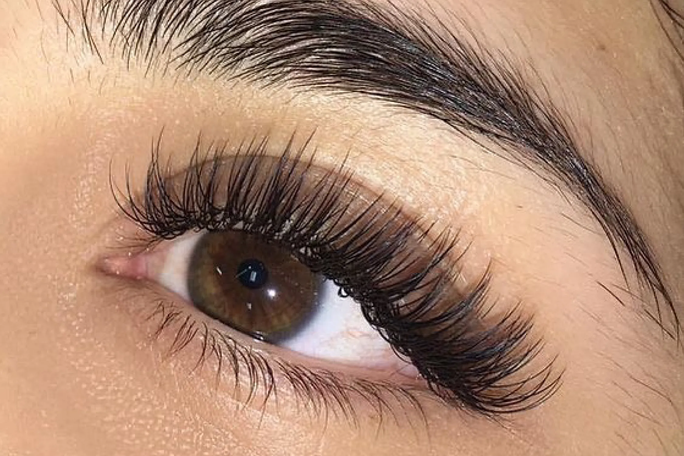 dubai lashes | lash lift and tint | eyelashes dubai